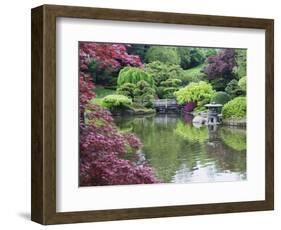 Japanese Garden, Brooklyn Botanical Garden, Brooklyn-Christian Kober-Framed Photographic Print