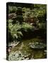 Japanese Garden, Canada-null-Stretched Canvas