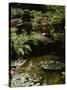 Japanese Garden, Canada-null-Stretched Canvas