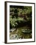 Japanese Garden, Canada-null-Framed Photographic Print