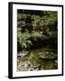 Japanese Garden, Canada-null-Framed Photographic Print