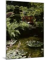 Japanese Garden, Canada-null-Mounted Photographic Print