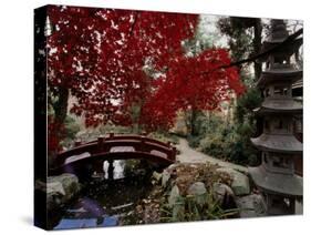 Japanese Garden Hillwood Museum and Gardens, Washington, D.C. USA-null-Stretched Canvas