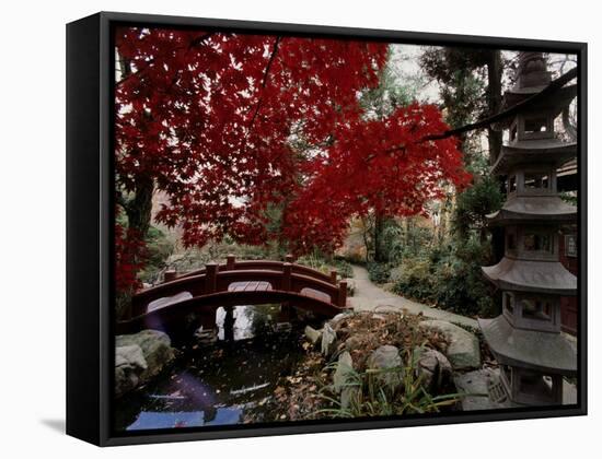 Japanese Garden Hillwood Museum and Gardens, Washington, D.C. USA-null-Framed Stretched Canvas