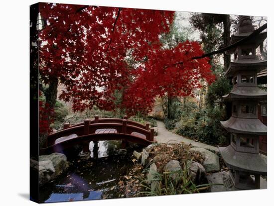 Japanese Garden Hillwood Museum and Gardens, Washington, D.C. USA-null-Stretched Canvas