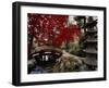 Japanese Garden Hillwood Museum and Gardens, Washington, D.C. USA-null-Framed Premium Photographic Print