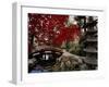 Japanese Garden Hillwood Museum and Gardens, Washington, D.C. USA-null-Framed Premium Photographic Print