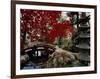 Japanese Garden Hillwood Museum and Gardens, Washington, D.C. USA-null-Framed Photographic Print