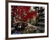 Japanese Garden Hillwood Museum and Gardens, Washington, D.C. USA-null-Framed Photographic Print