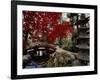 Japanese Garden Hillwood Museum and Gardens, Washington, D.C. USA-null-Framed Photographic Print
