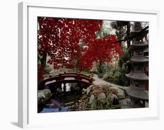 Japanese Garden Hillwood Museum and Gardens, Washington, D.C. USA-null-Framed Photographic Print