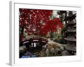 Japanese Garden Hillwood Museum and Gardens, Washington, D.C. USA-null-Framed Photographic Print