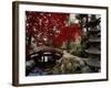 Japanese Garden Hillwood Museum and Gardens, Washington, D.C. USA-null-Framed Photographic Print