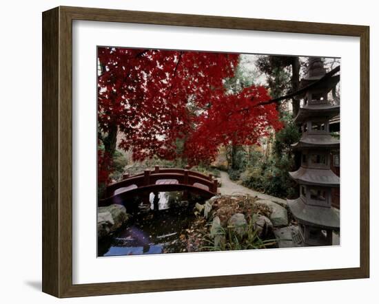 Japanese Garden Hillwood Museum and Gardens, Washington, D.C. USA-null-Framed Photographic Print
