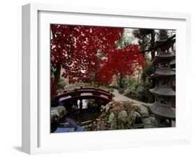 Japanese Garden Hillwood Museum and Gardens, Washington, D.C. USA-null-Framed Photographic Print