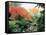 Japanese Garden I-Maureen Love-Framed Stretched Canvas