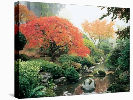 Japanese Garden I-Maureen Love-Stretched Canvas