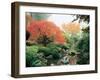 Japanese Garden I-Maureen Love-Framed Photographic Print