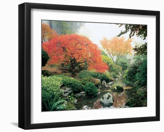 Japanese Garden I-Maureen Love-Framed Photographic Print