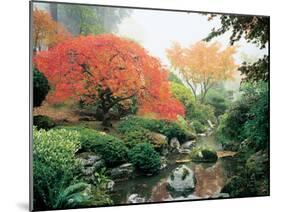 Japanese Garden I-Maureen Love-Mounted Photographic Print