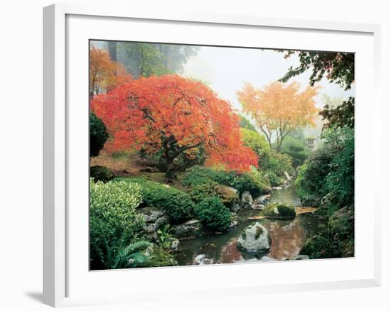 Japanese Garden I-Maureen Love-Framed Photographic Print