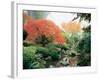 Japanese Garden I-Maureen Love-Framed Photographic Print