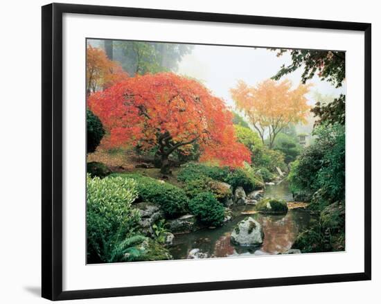 Japanese Garden I-Maureen Love-Framed Photographic Print