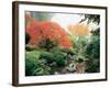 Japanese Garden I-Maureen Love-Framed Photographic Print