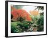 Japanese Garden I-Maureen Love-Framed Photographic Print