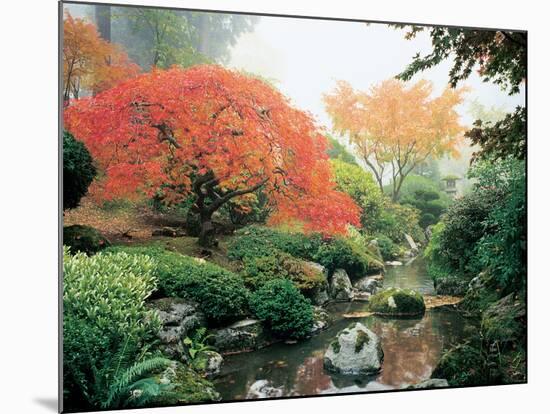 Japanese Garden I-Maureen Love-Mounted Photographic Print