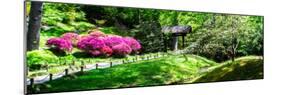 Japanese Garden I-Alan Hausenflock-Mounted Photo