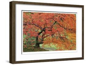 Japanese Garden II-Donald Paulson-Framed Giclee Print