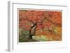 Japanese Garden II-Donald Paulson-Framed Giclee Print