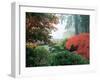 Japanese Garden II-Maureen Love-Framed Photographic Print