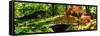 Japanese Garden II-Alan Hausenflock-Framed Stretched Canvas