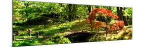 Japanese Garden II-Alan Hausenflock-Mounted Photo