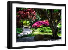 Japanese Garden III-Alan Hausenflock-Framed Photographic Print