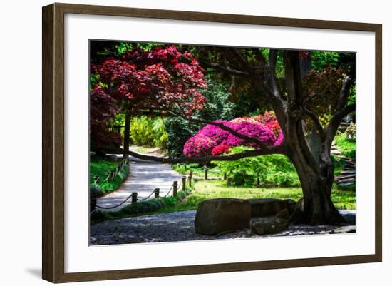 Japanese Garden III-Alan Hausenflock-Framed Photo