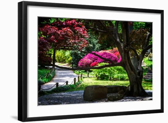 Japanese Garden III-Alan Hausenflock-Framed Photo