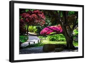 Japanese Garden III-Alan Hausenflock-Framed Photo