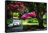 Japanese Garden III-Alan Hausenflock-Framed Stretched Canvas