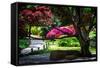 Japanese Garden III-Alan Hausenflock-Framed Stretched Canvas