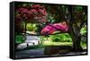 Japanese Garden III-Alan Hausenflock-Framed Stretched Canvas