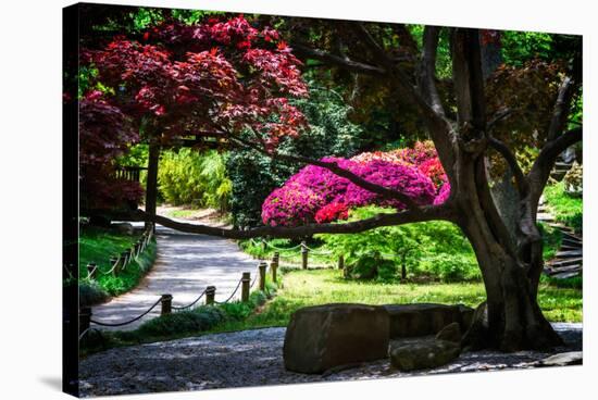 Japanese Garden III-Alan Hausenflock-Stretched Canvas