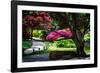 Japanese Garden III-Alan Hausenflock-Framed Photo