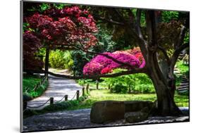 Japanese Garden III-Alan Hausenflock-Mounted Photo