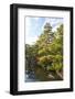 Japanese Garden in Himeji-Ryszard Stelmachowicz-Framed Photographic Print