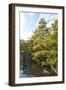 Japanese Garden in Himeji-Ryszard Stelmachowicz-Framed Photographic Print