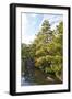 Japanese Garden in Himeji-Ryszard Stelmachowicz-Framed Photographic Print