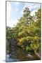 Japanese Garden in Himeji-Ryszard Stelmachowicz-Mounted Photographic Print